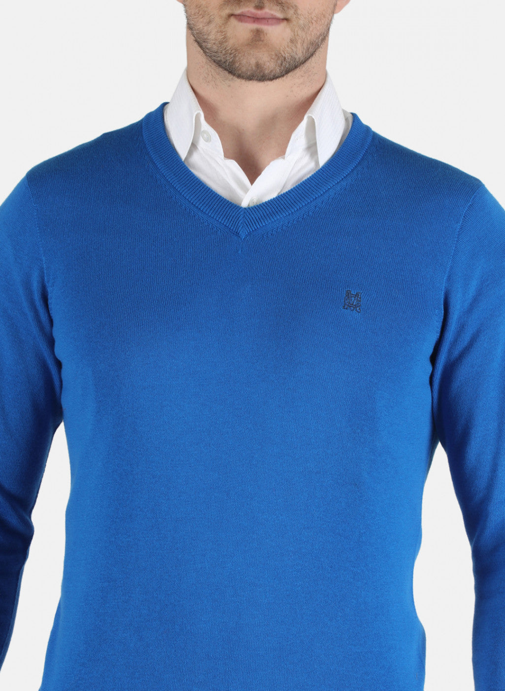 Men Blue Solid Pullover