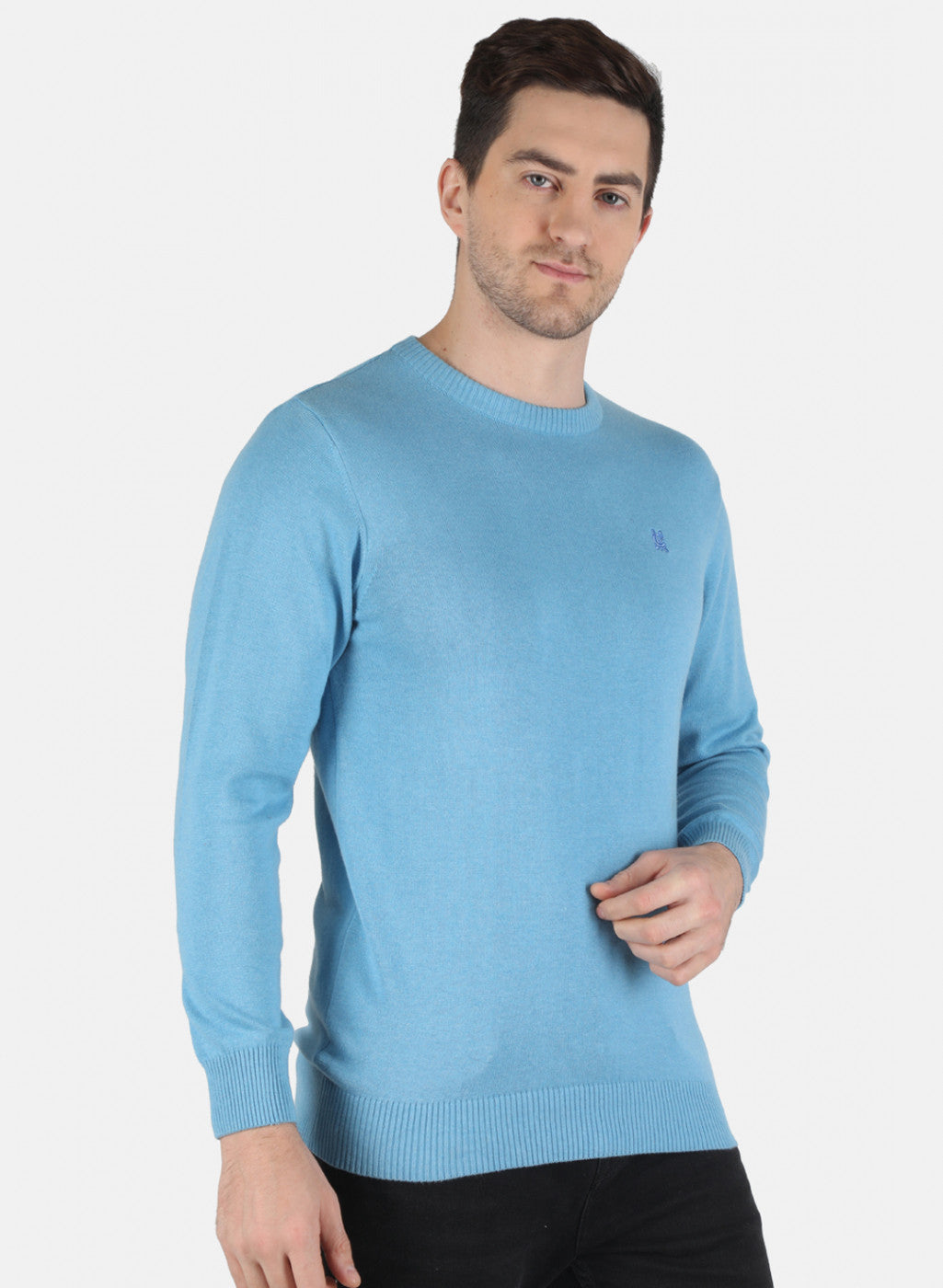 Men Sky Blue Solid Pullover