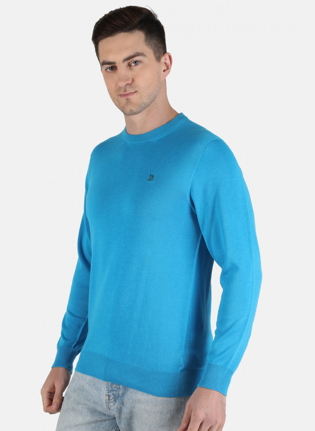 Men Blue Solid Pullover