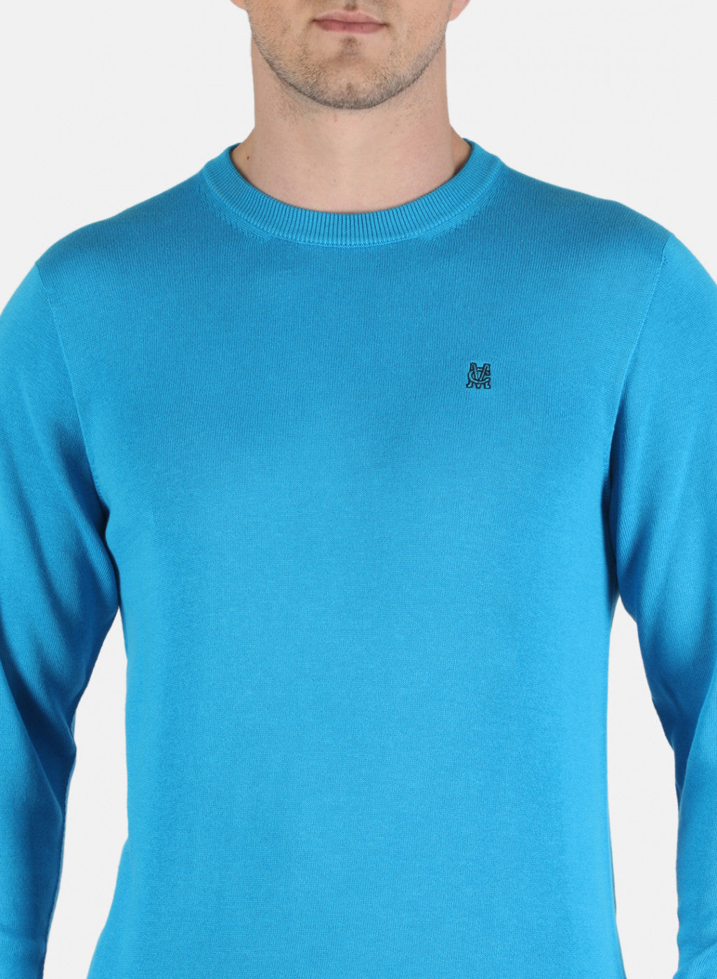 Men Blue Solid Pullover