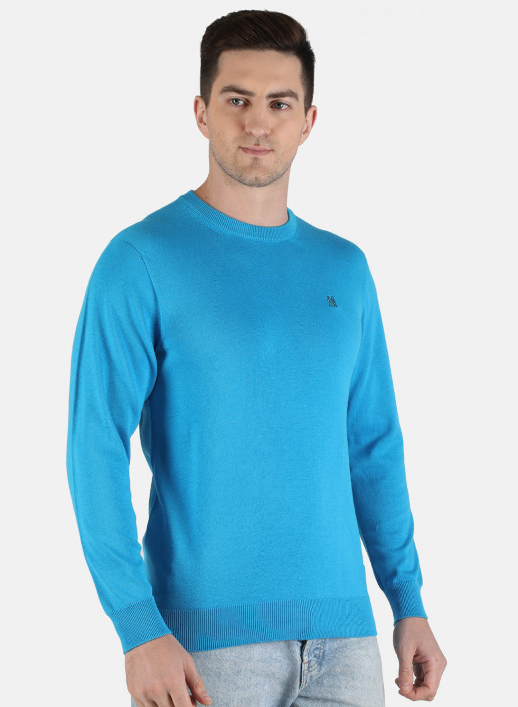 Men Blue Solid Pullover