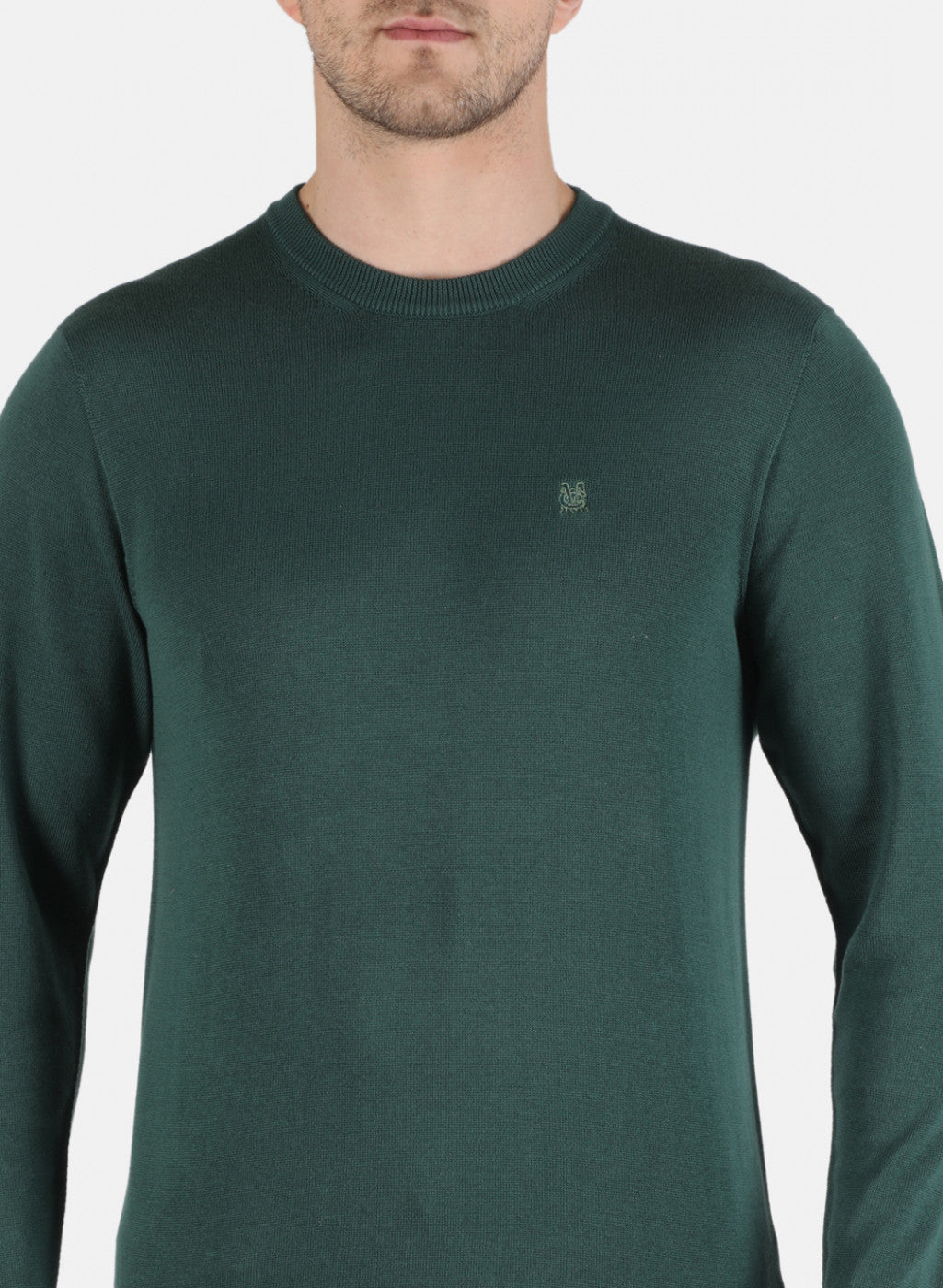 Men Green Solid Pullover