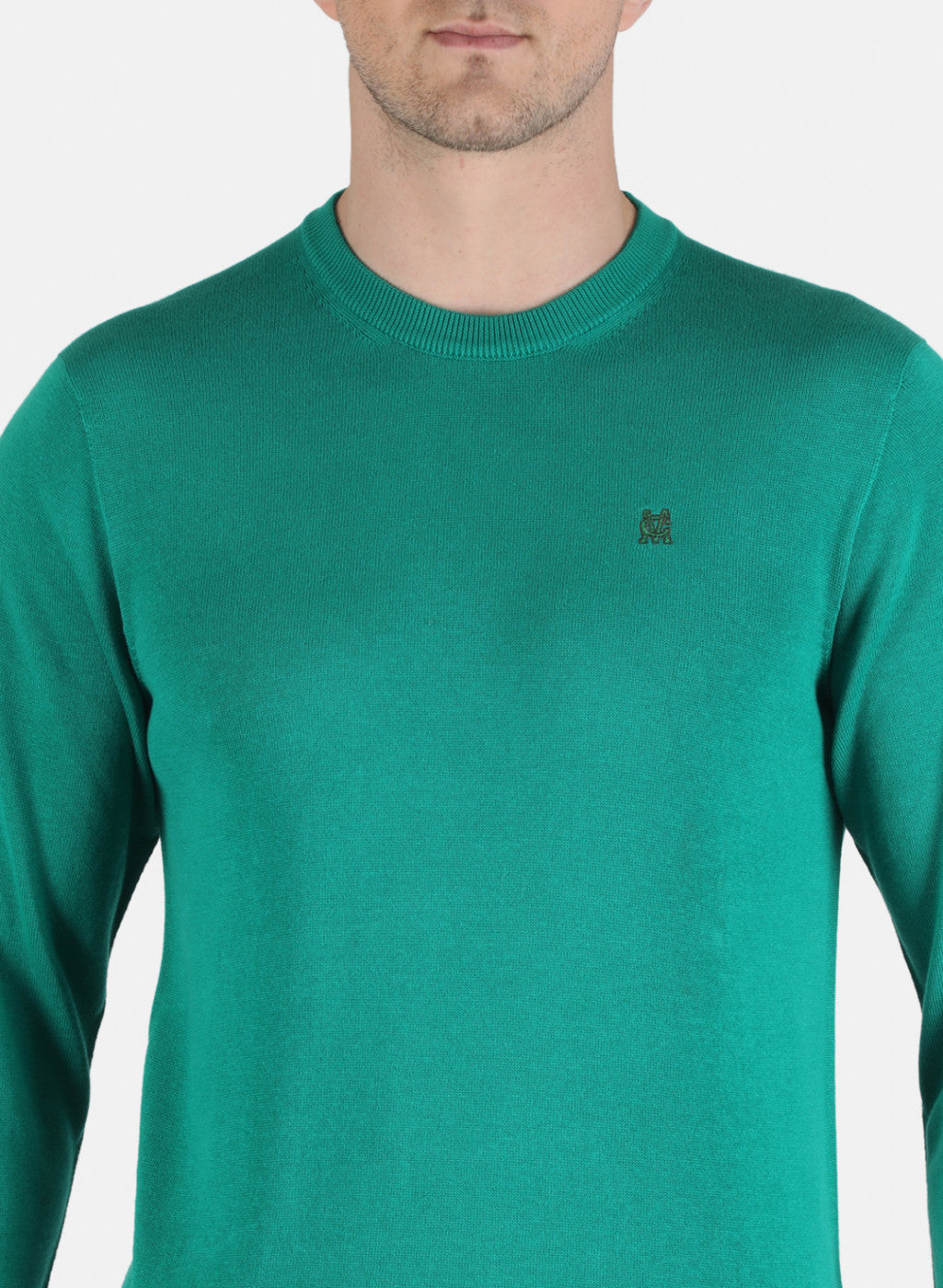 Men Green Solid Pullover