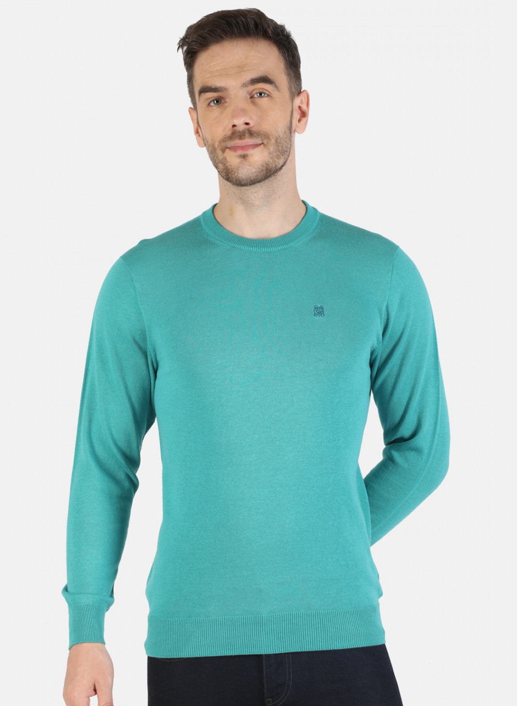 Men Blue Solid Pullover