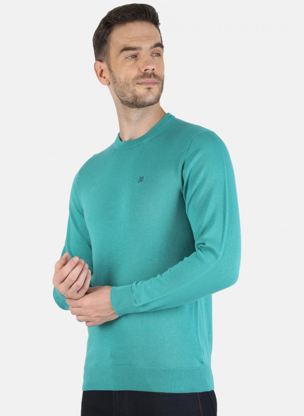 Men Blue Solid Pullover