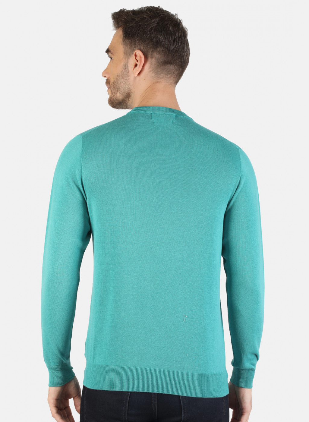 Men Blue Solid Pullover