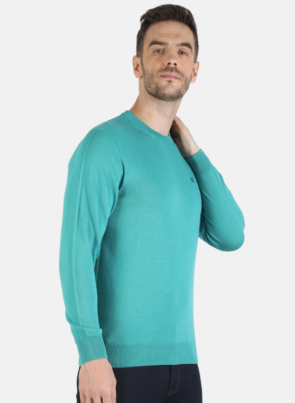 Men Blue Solid Pullover