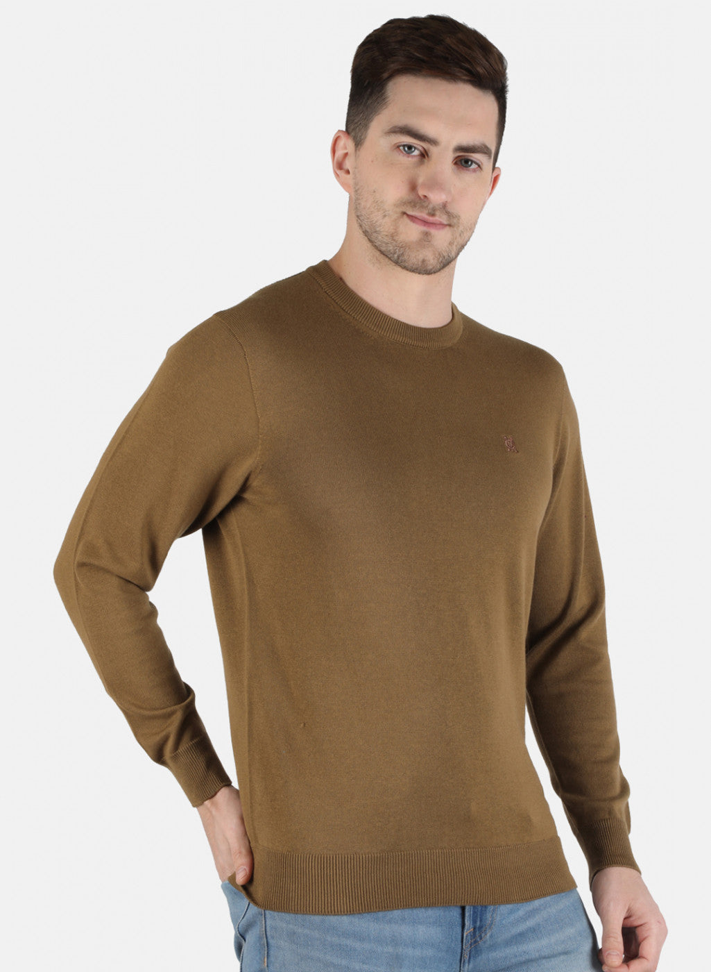 Men Brown Solid Pullover