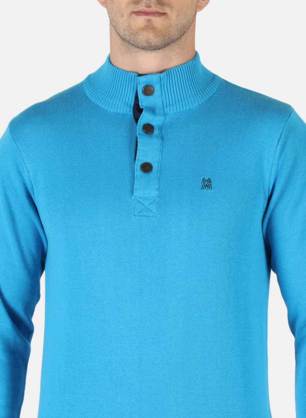 Men Blue Solid Pullover