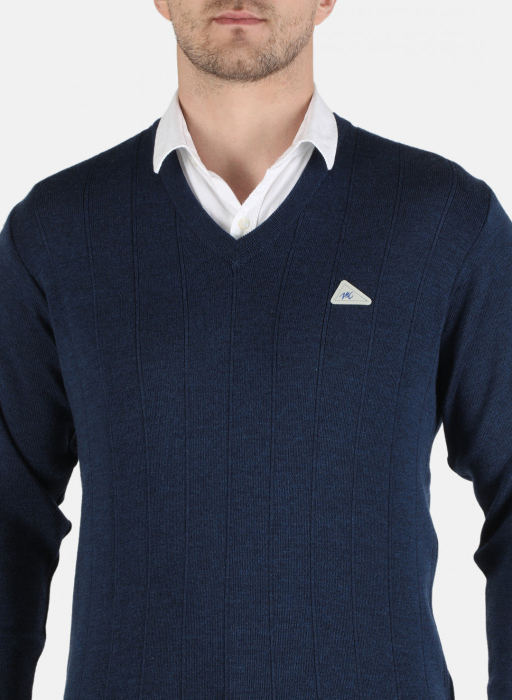 Men Blue Solid Pullover