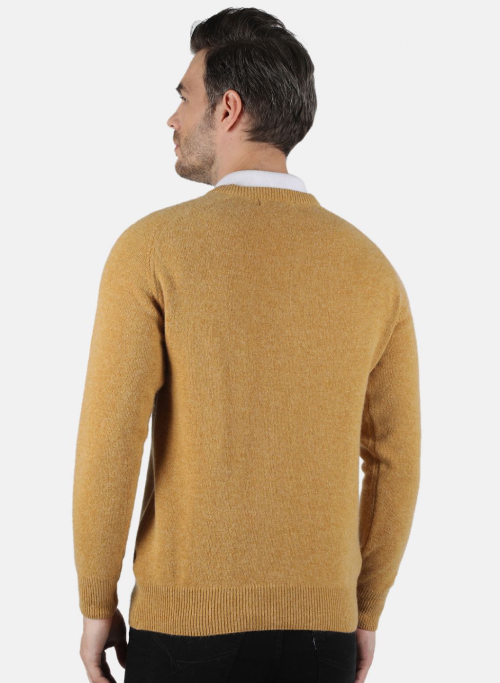 Men Mustard Solid Pullover