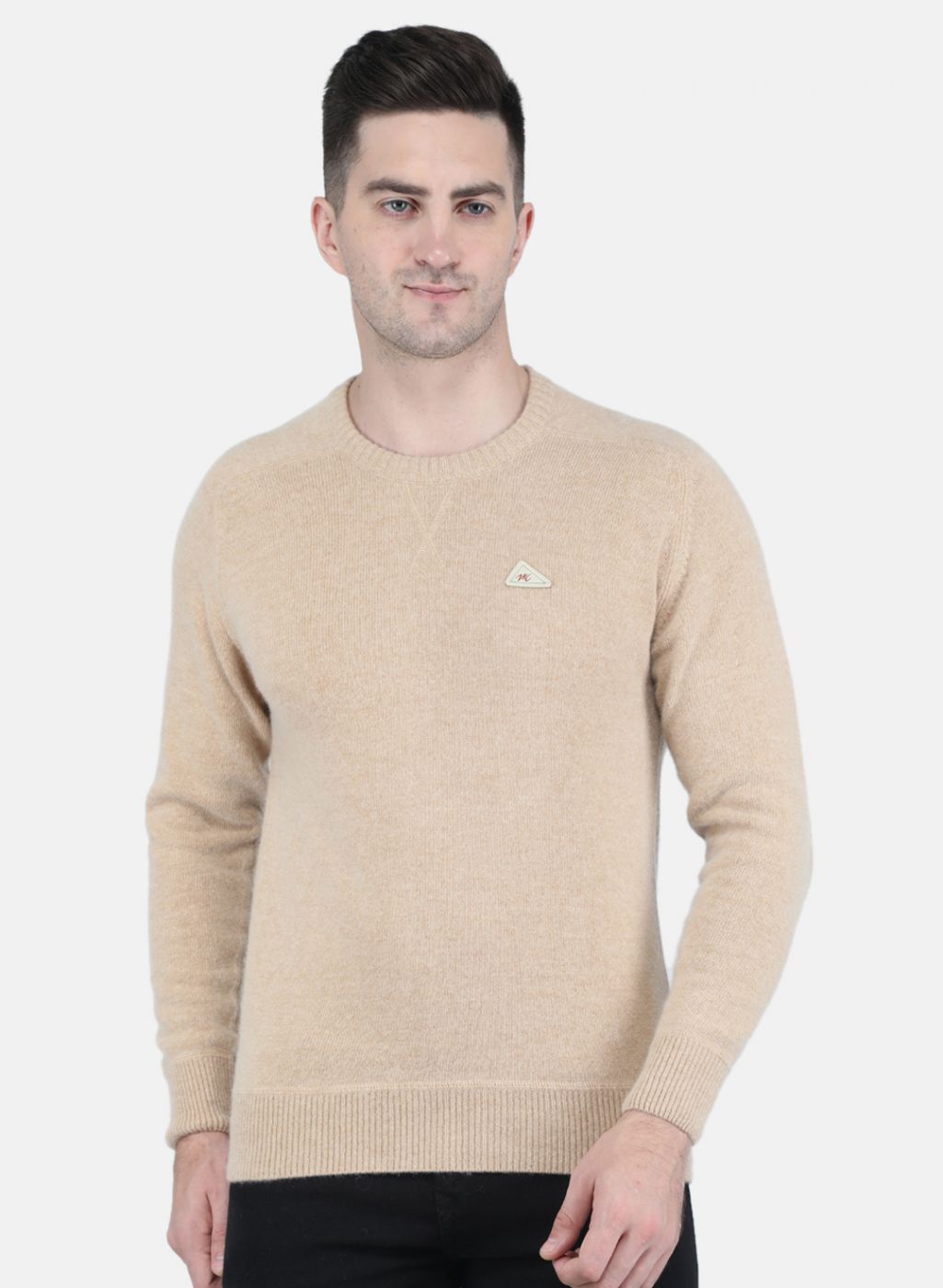 Men Beige Solid Pullover