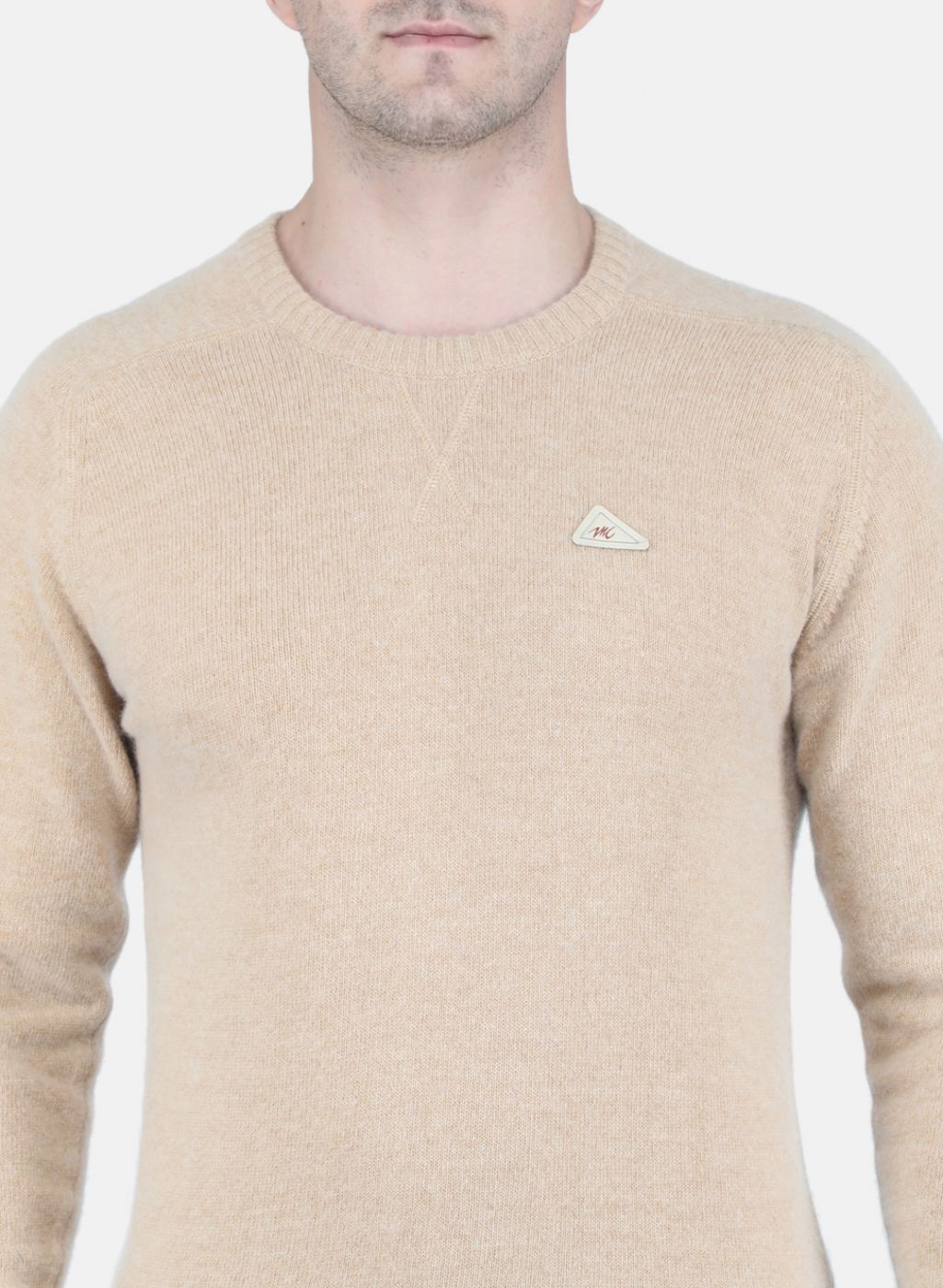 Men Beige Solid Pullover