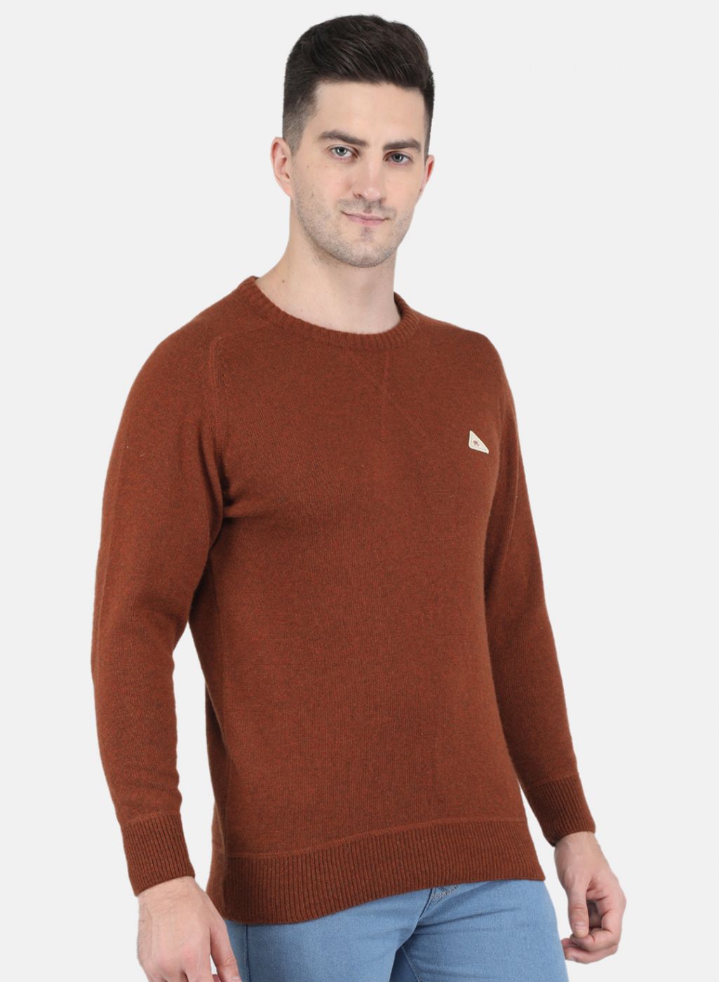 Men Brown Solid Pullover