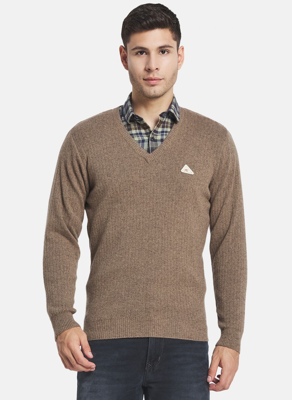 Men Beige Solid Pullover