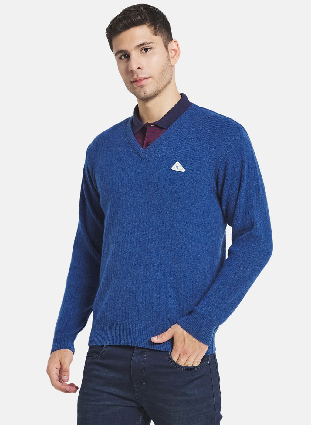 Men Blue Solid Pullover