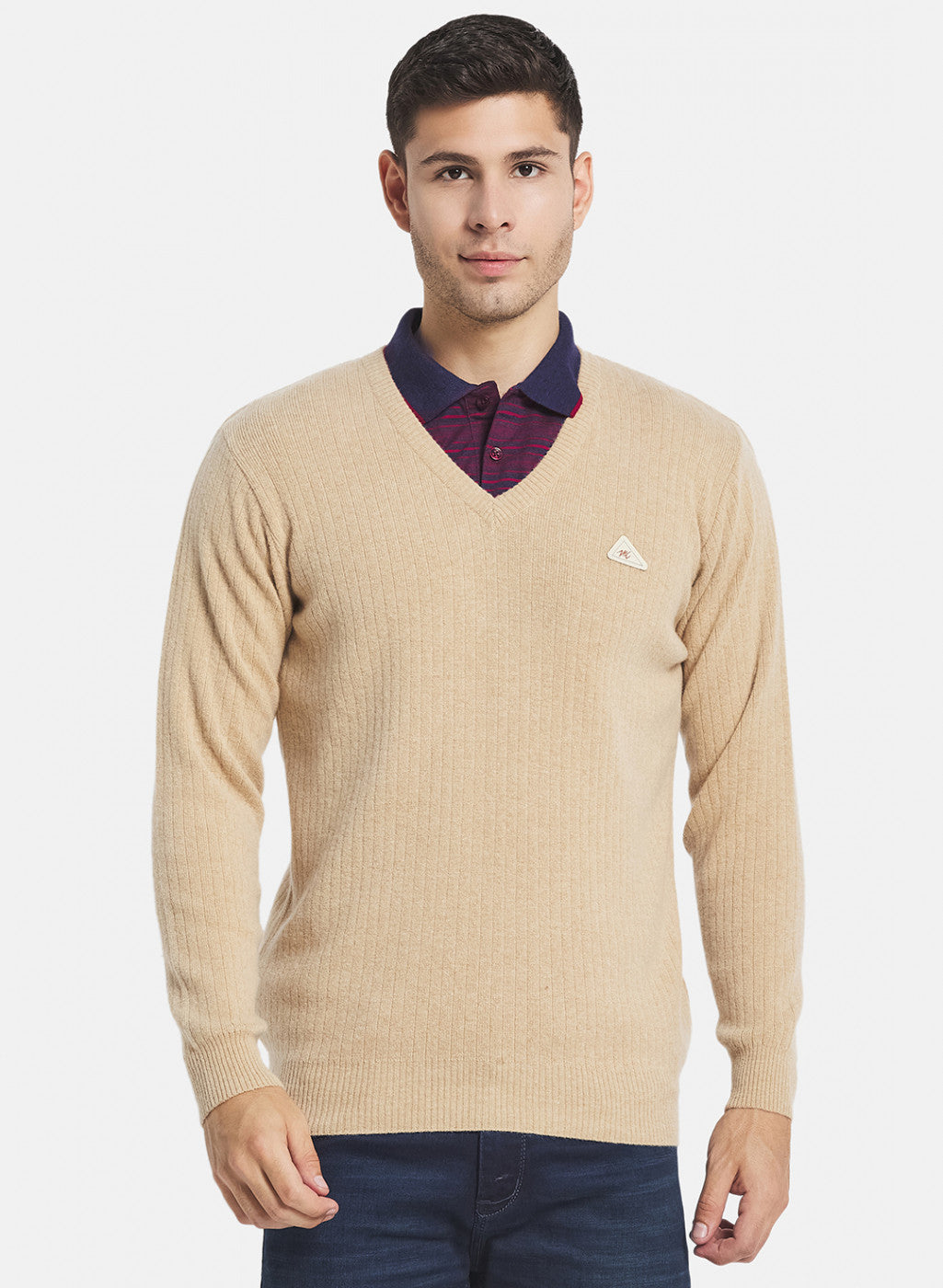 Men Beige Solid Pullover