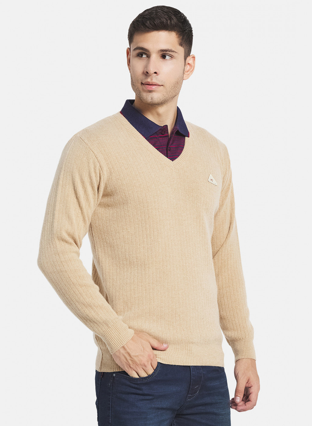 Men Beige Solid Pullover