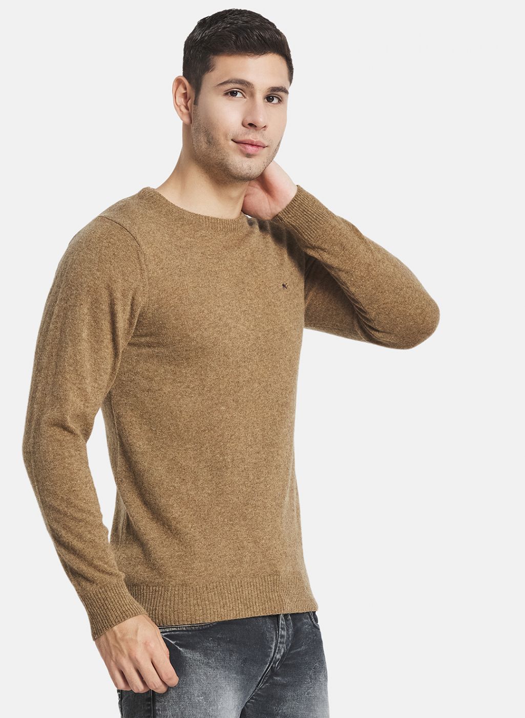 Men Brown Solid Sweater