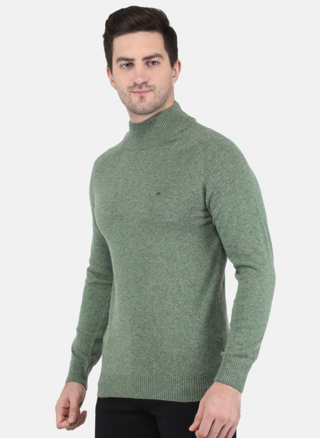 Men Green Solid Pullover