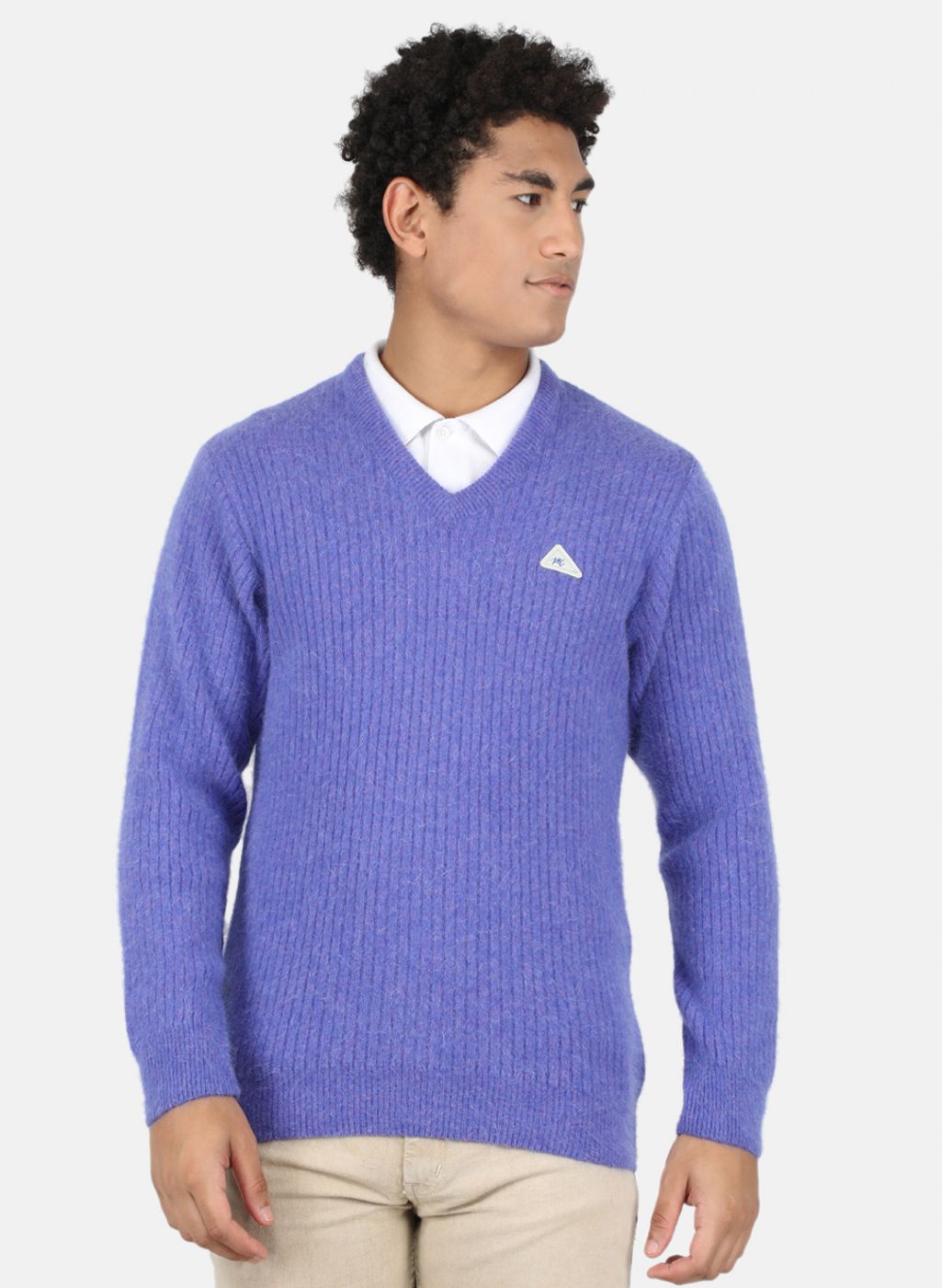 Men Purple Solid Pullover