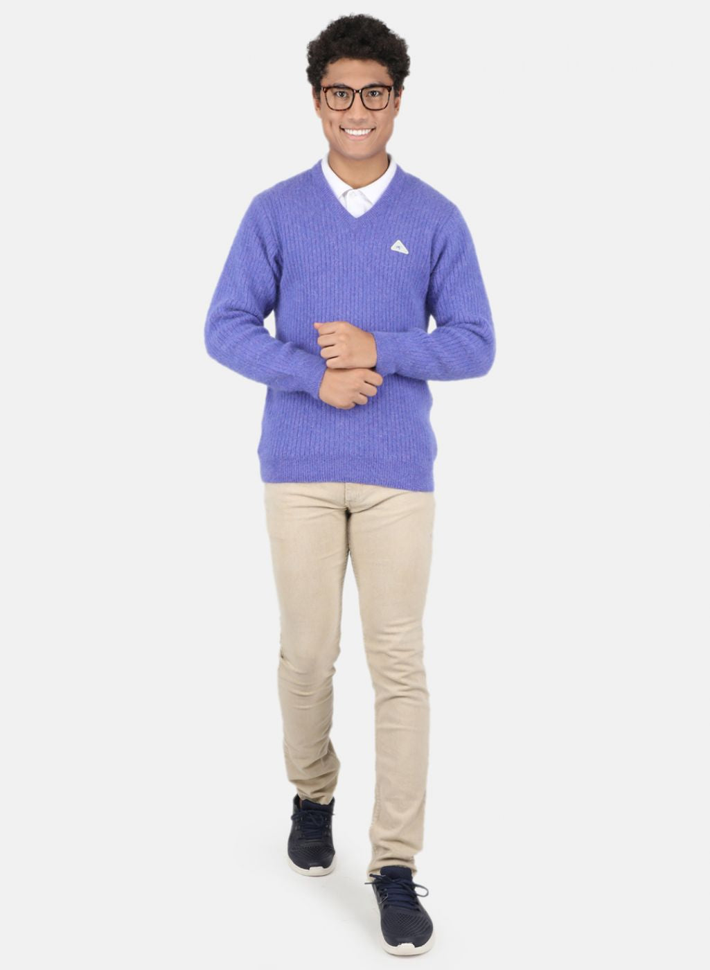 Men Purple Solid Pullover