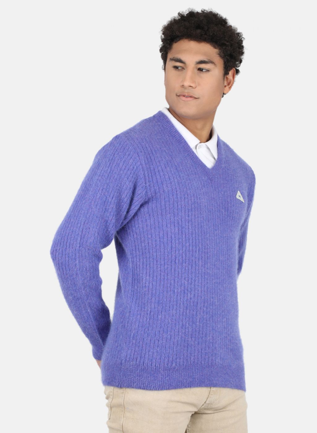 Men Purple Solid Pullover