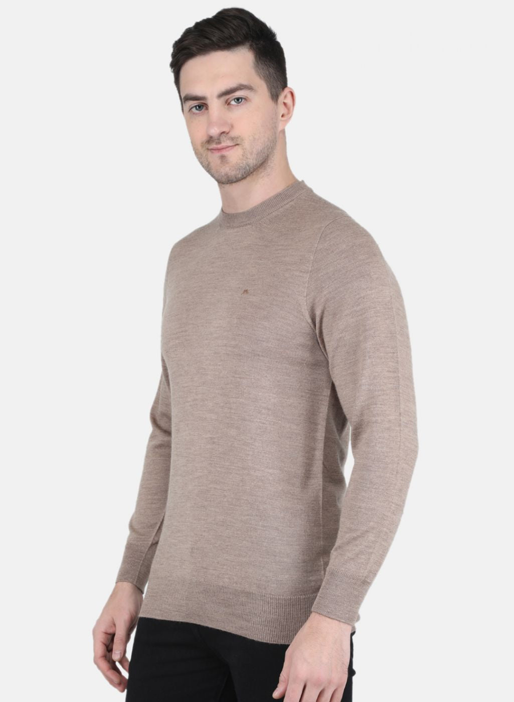 Men Beige Solid Pullover