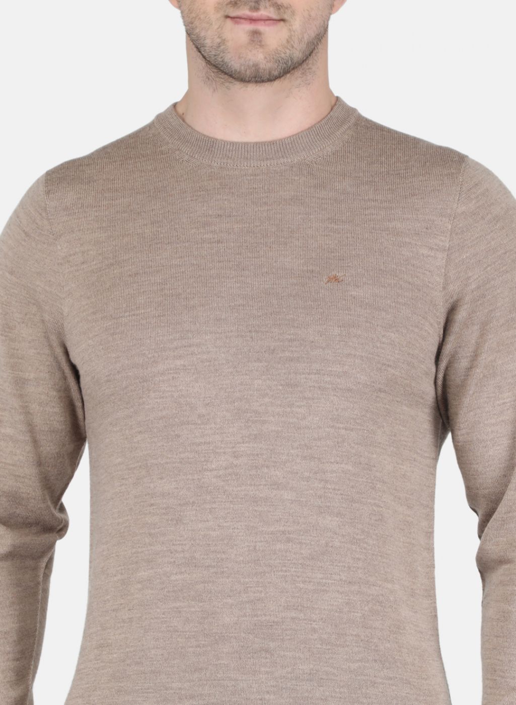 Men Beige Solid Pullover