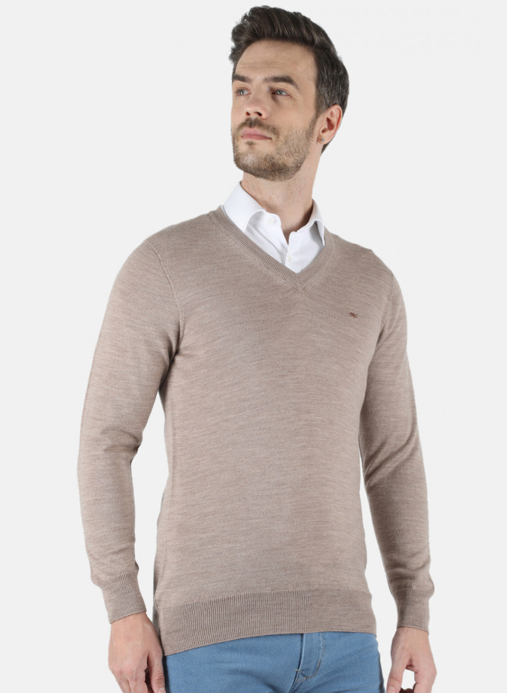 Men Beige Solid Pullover