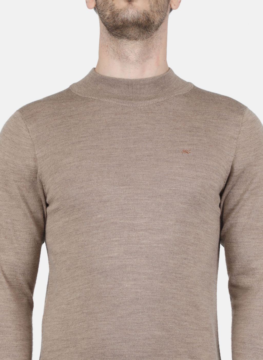 Men Beige Solid Pullover