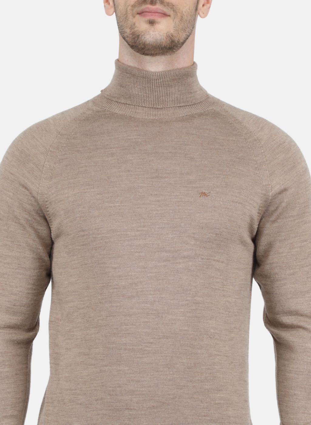 Men Beige Solid Pullover