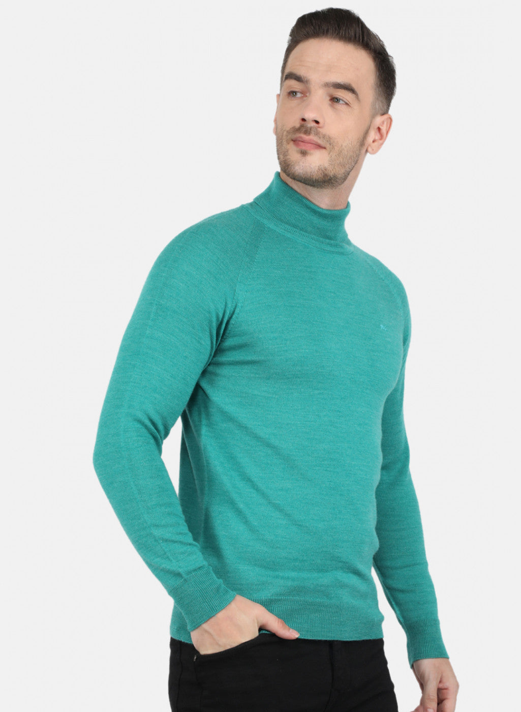 Men Green Solid Pullover