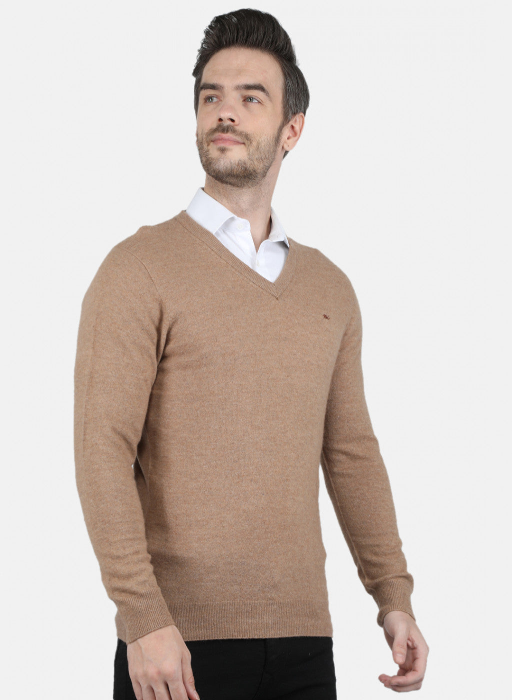 Men Beige Solid Pullover