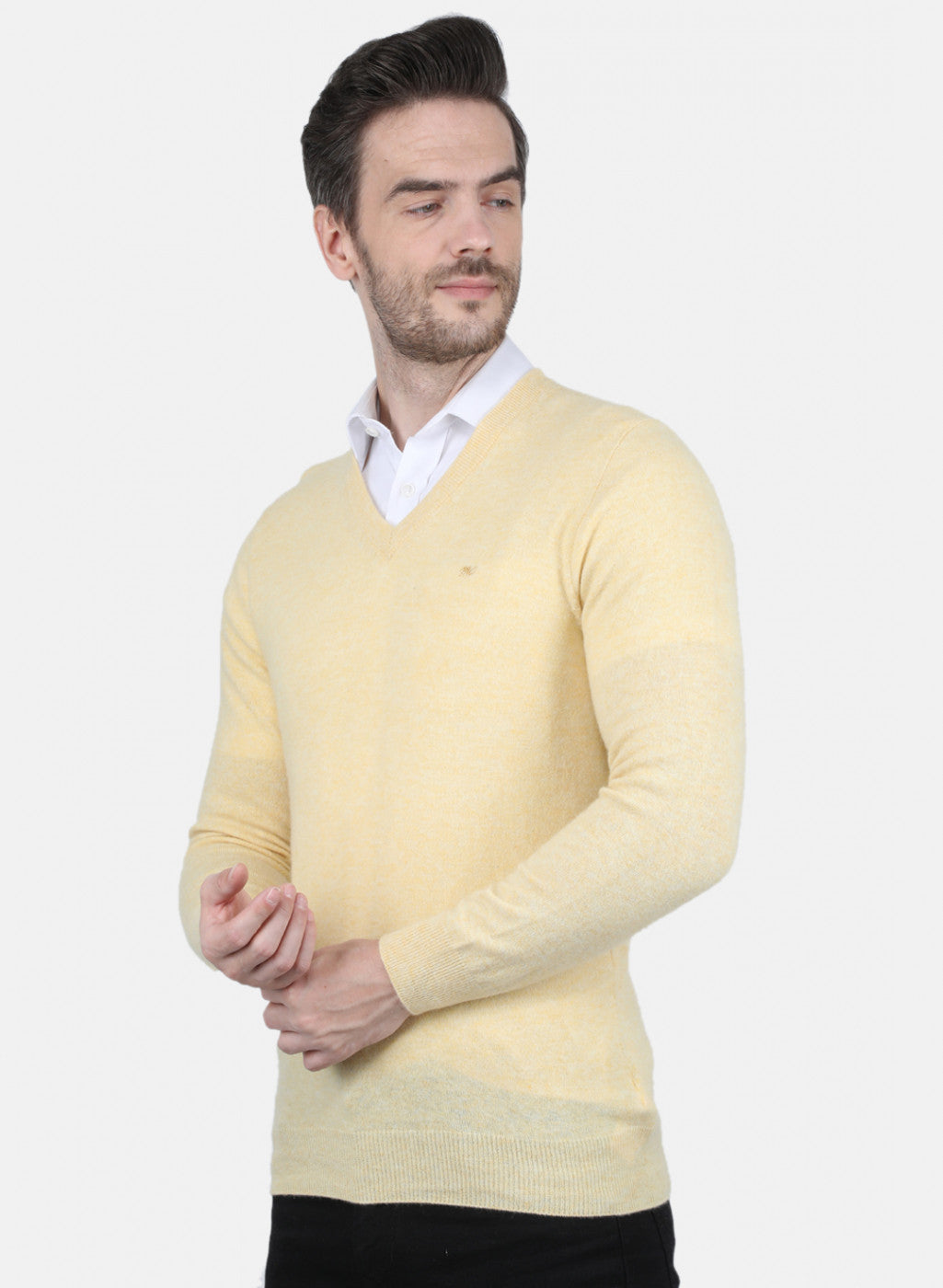 Men Beige Solid Pullover