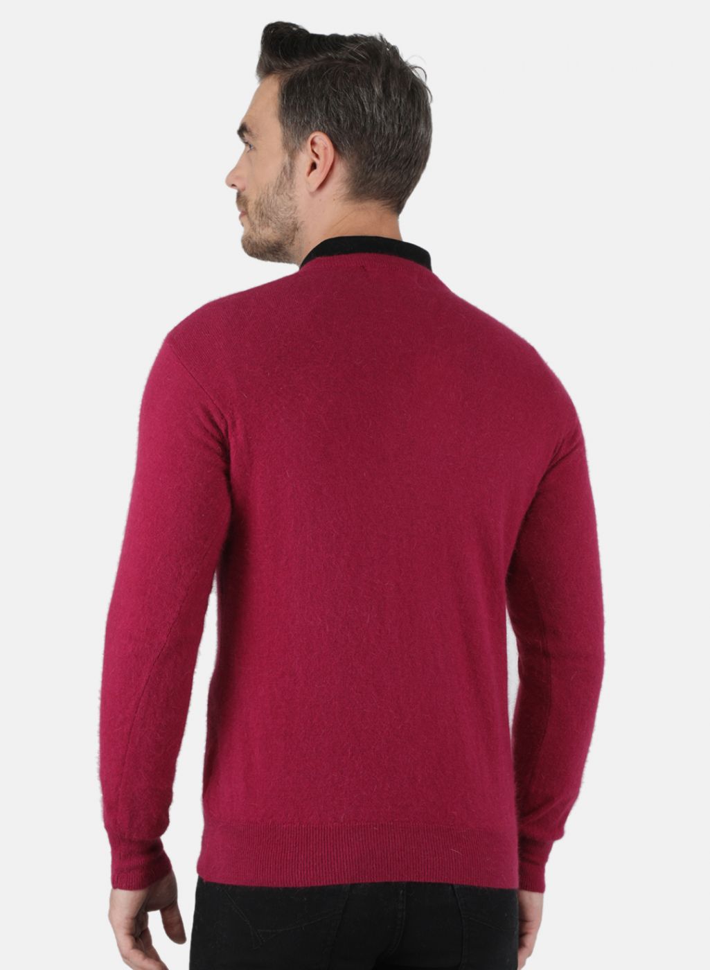 Men Purple Solid Pullover