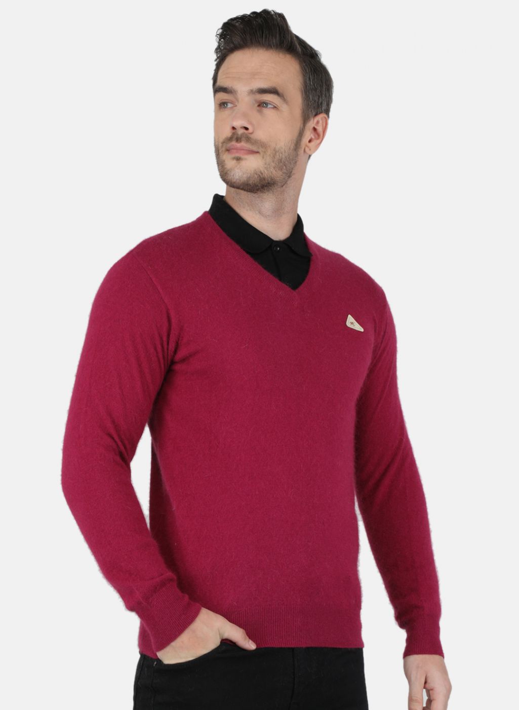 Men Purple Solid Pullover