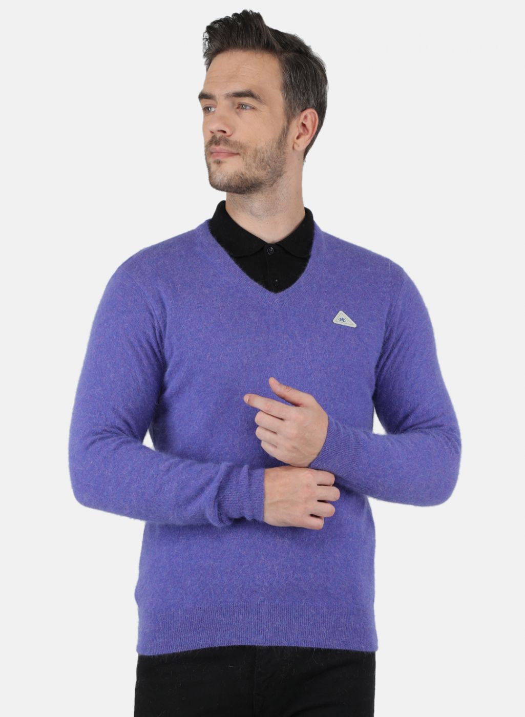 Men Purple Solid Pullover