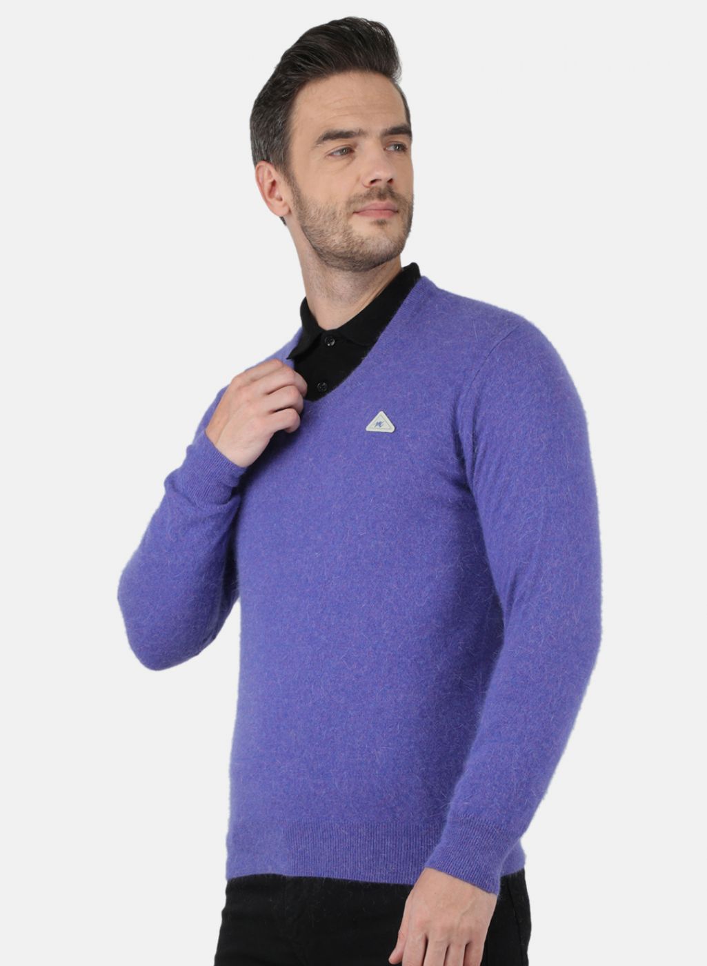 Men Purple Solid Pullover