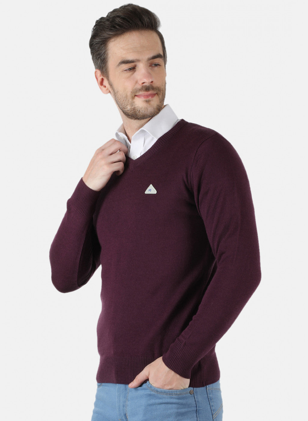 Men Purple Solid Pullover