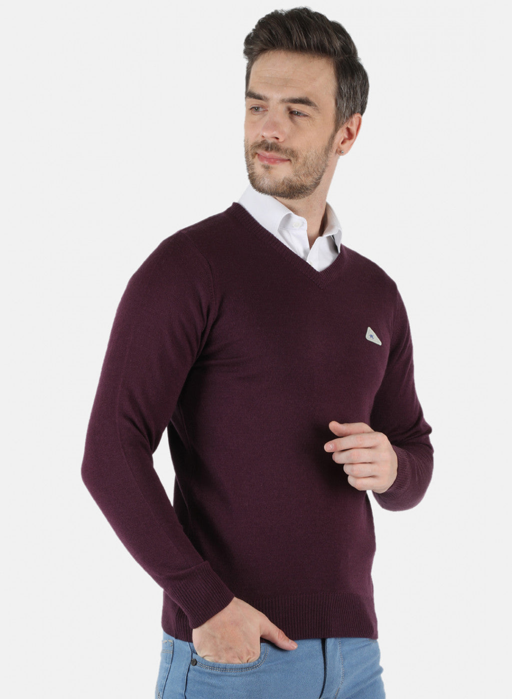 Men Purple Solid Pullover