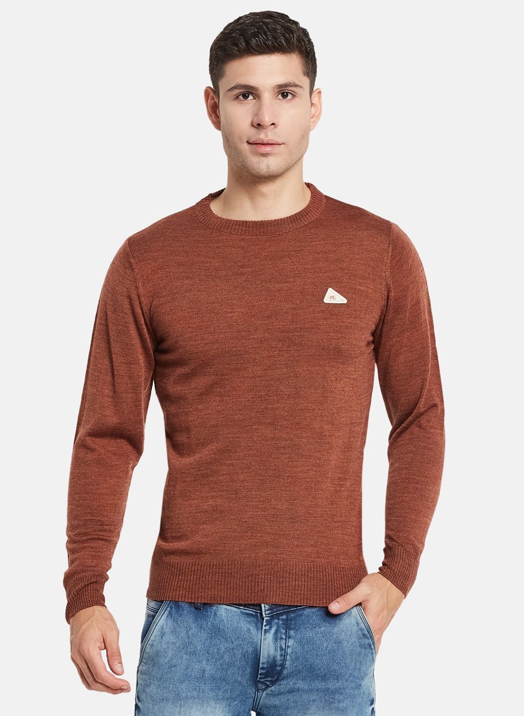 Men Brown Solid Pullover