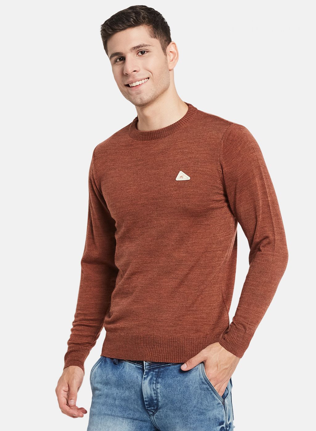 Men Brown Solid Pullover