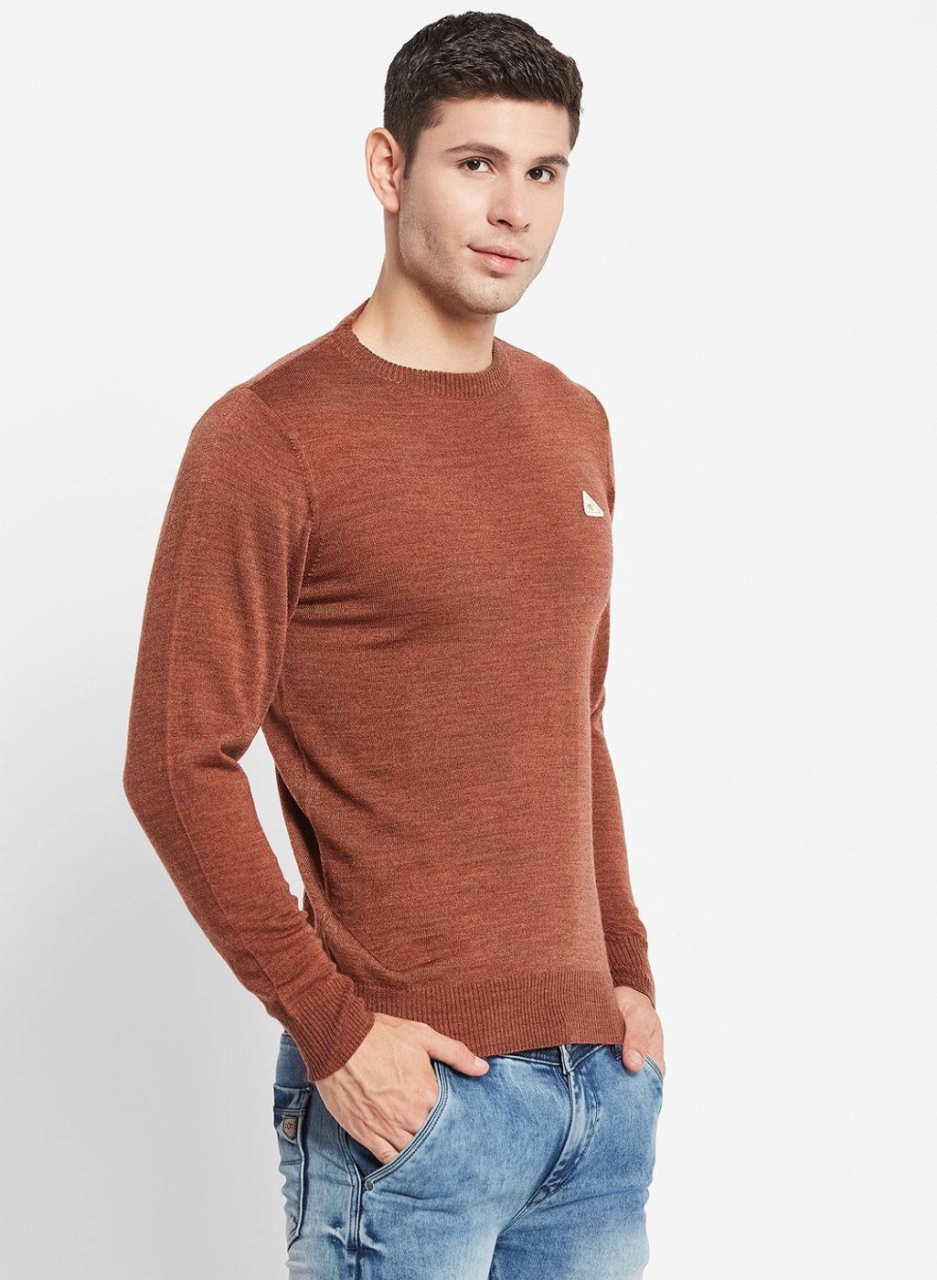 Men Brown Solid Pullover