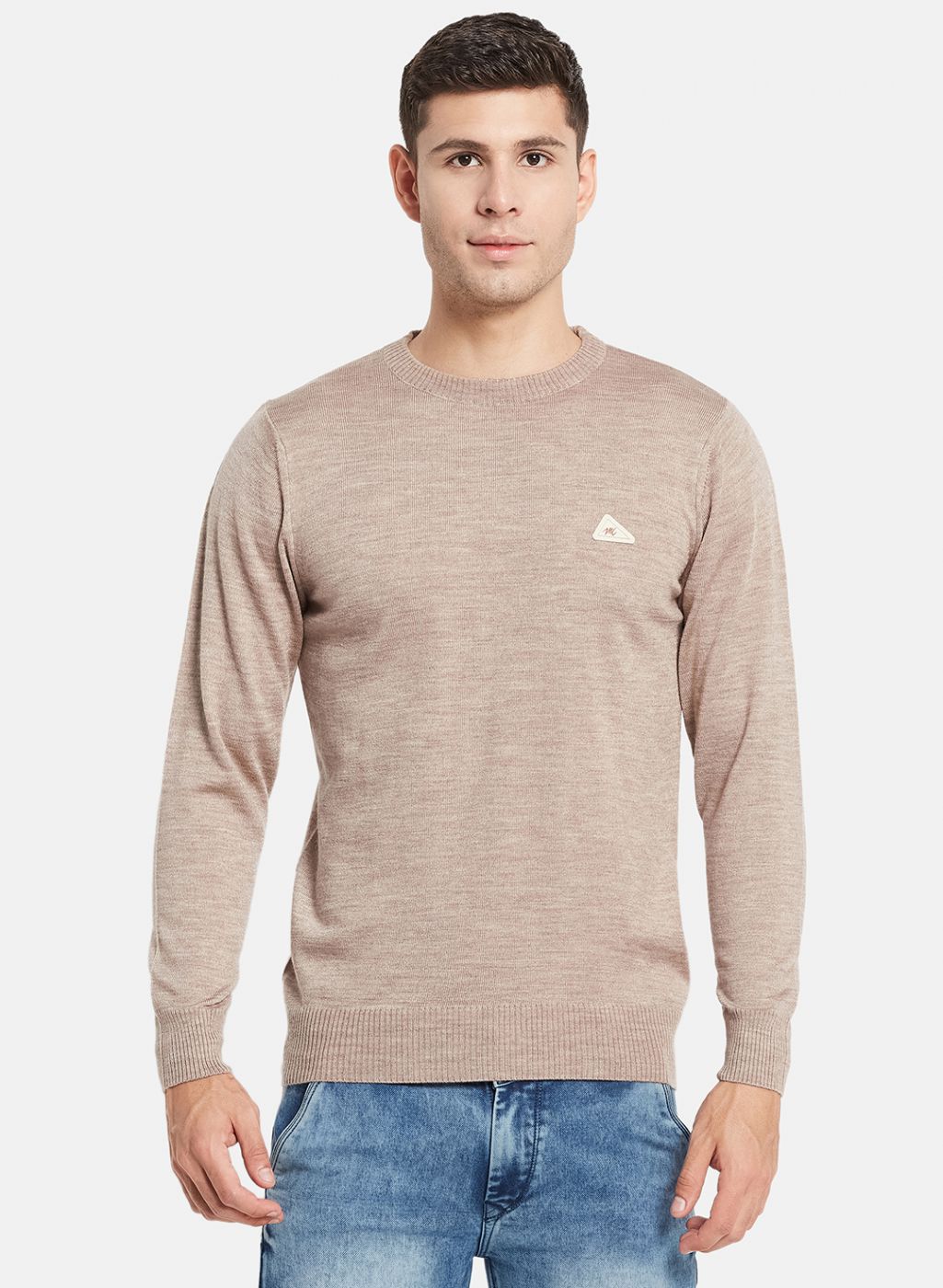 Men Beige Solid Pullover