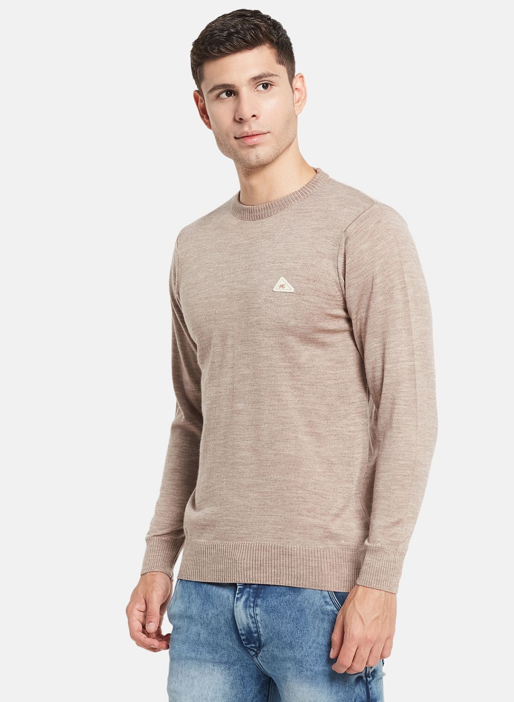 Men Beige Solid Pullover