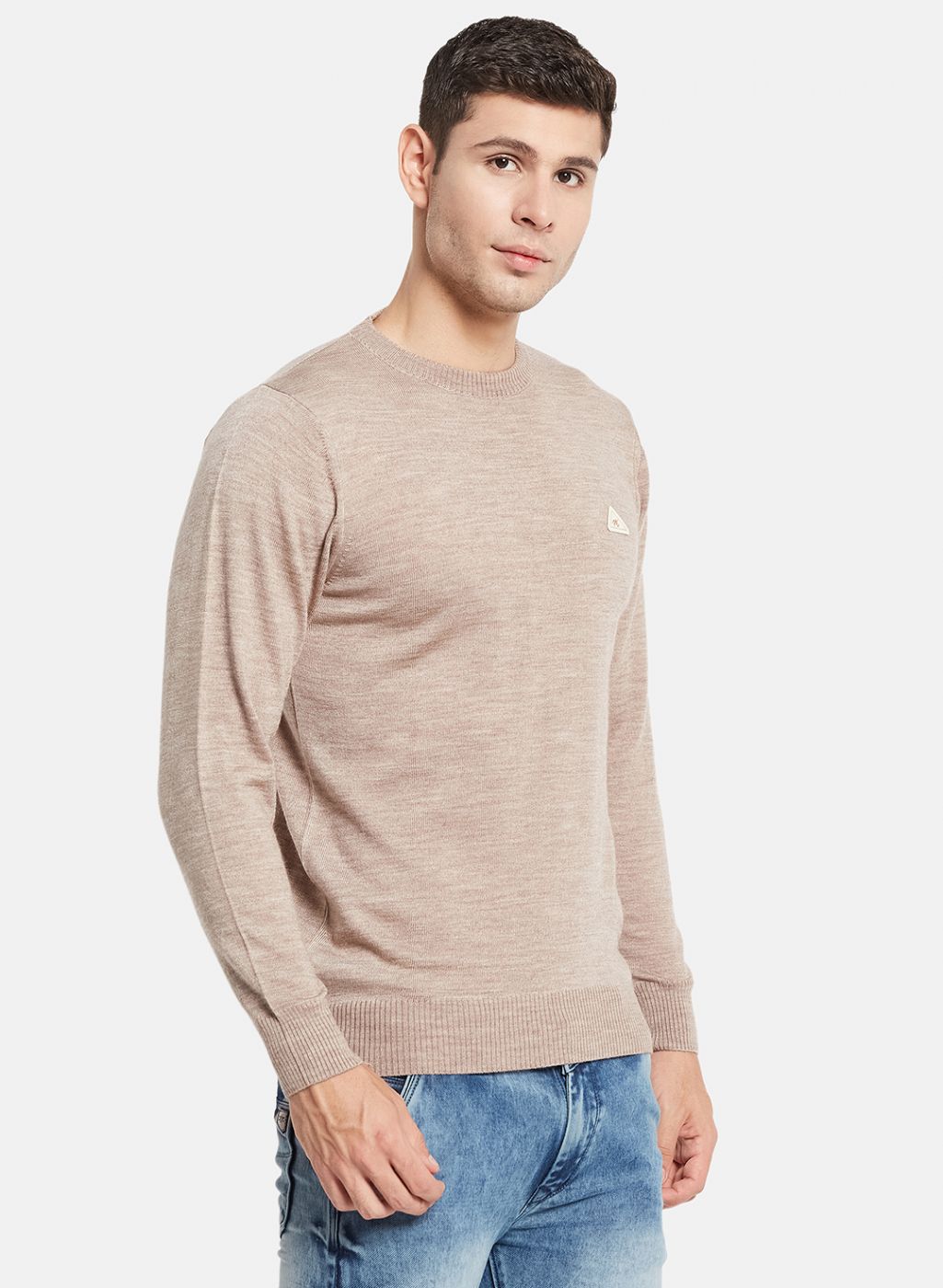 Men Beige Solid Pullover