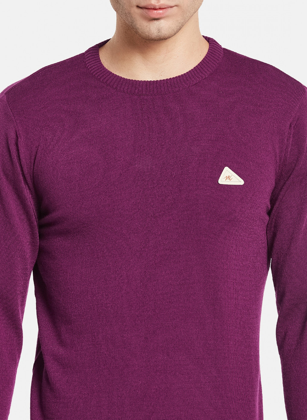 Men Purple Solid Pullover