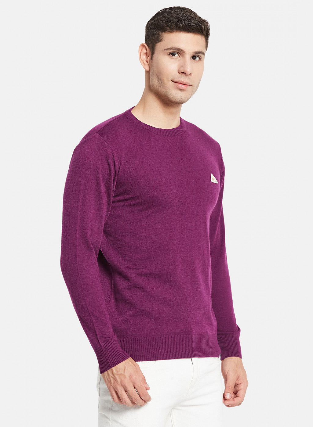 Men Purple Solid Pullover