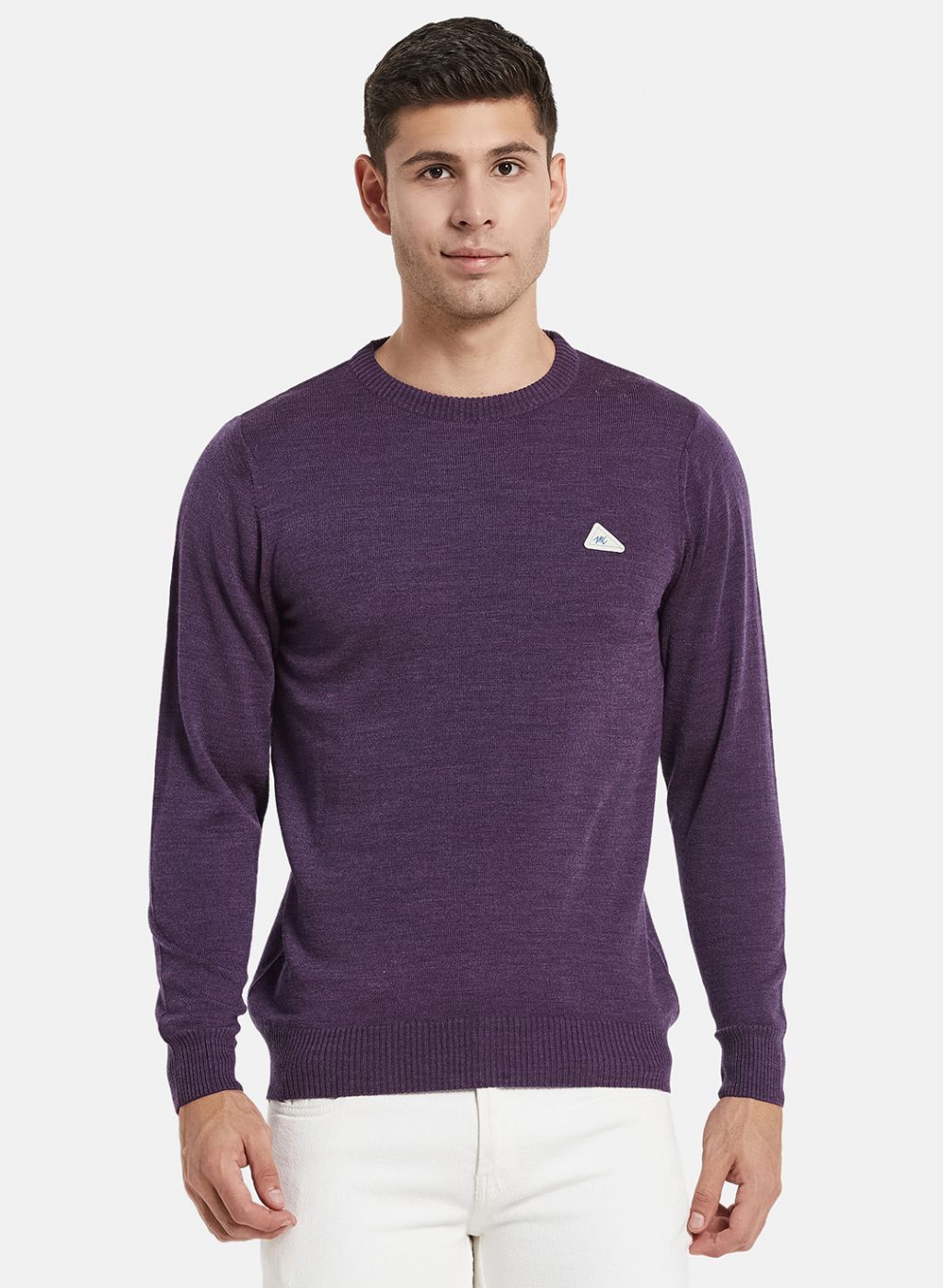 Men Purple Solid Pullover